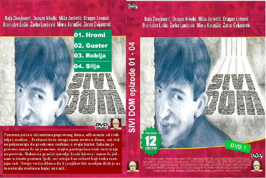 Click to view full size image -  DVD Cover - S - DVD - SIVI DOM - DVD - SIVI DOM.JPG