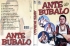 A - Ante Bubalo - prednja zadnja.jpg