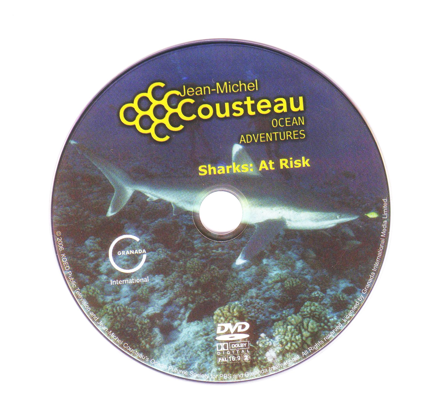 Click to view full size image -  DVD Cover - O - DVD - OCEANSKE PUSTOLOVINE DVD4  - CD - DVD - OCEANSKE PUSTOLOVINE DVD4  - CD.jpg