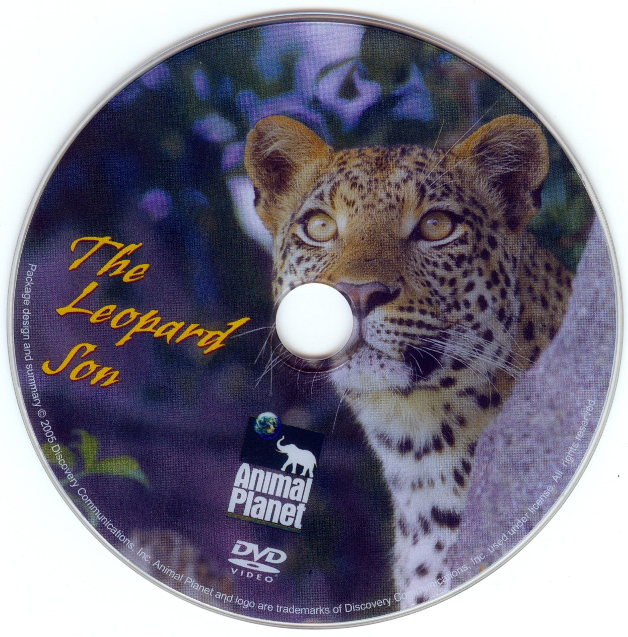 Click to view full size image -  DVD Cover - L - DVD - LEOPARDOV SIN - CD - DVD - LEOPARDOV SIN - CD.jpg