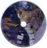 DVD - LEOPARDOV SIN - CD.jpg